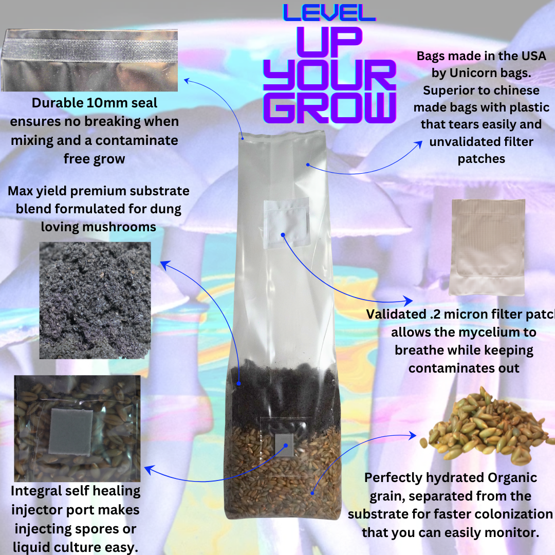 mushroom grow bag info graphic