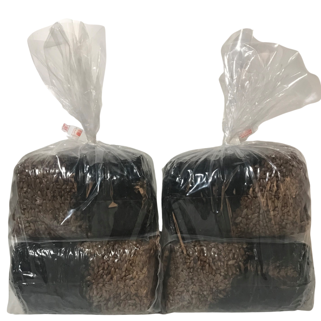 4 pack mushroom grow bags packaged before being boxed