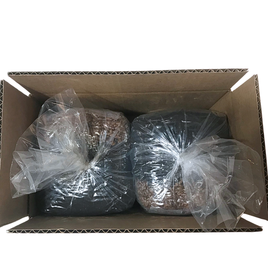 4 pack mushroom grow bags packaged for shipment