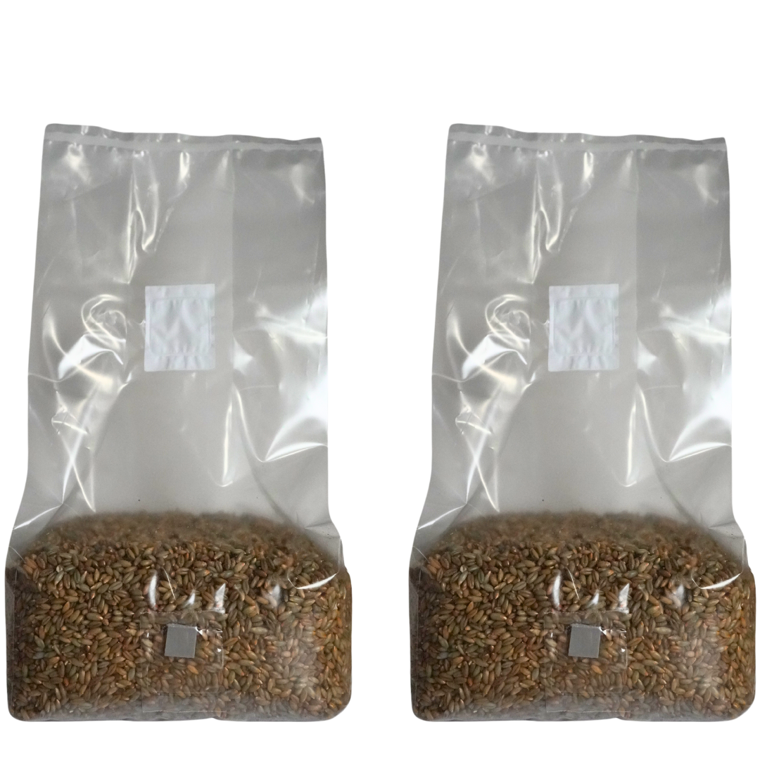 5 pound sterile mushroom grain spawn bag x2