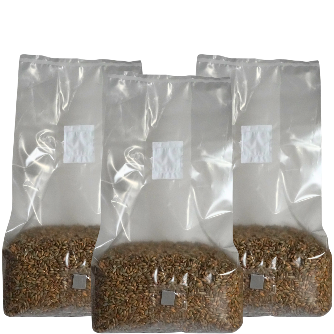5 pound sterile mushroom grain spawn bag x3
