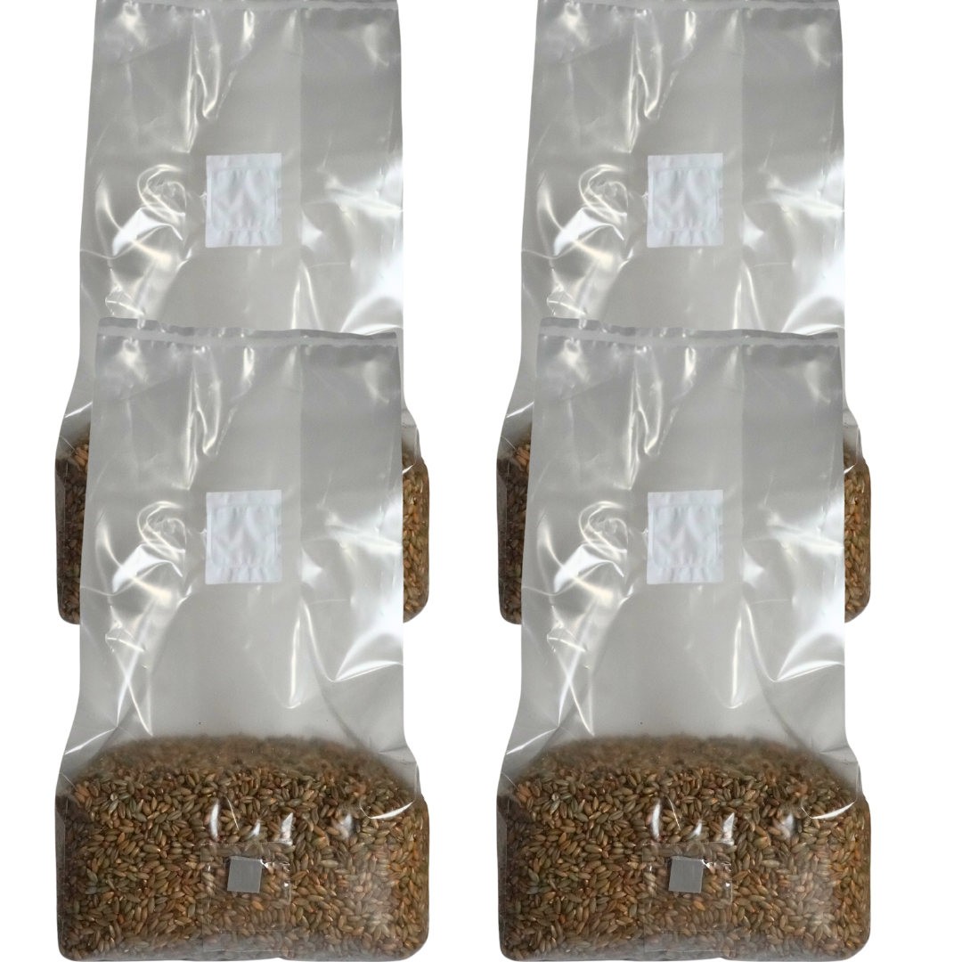 5 pound sterile mushroom grain spawn bag x4