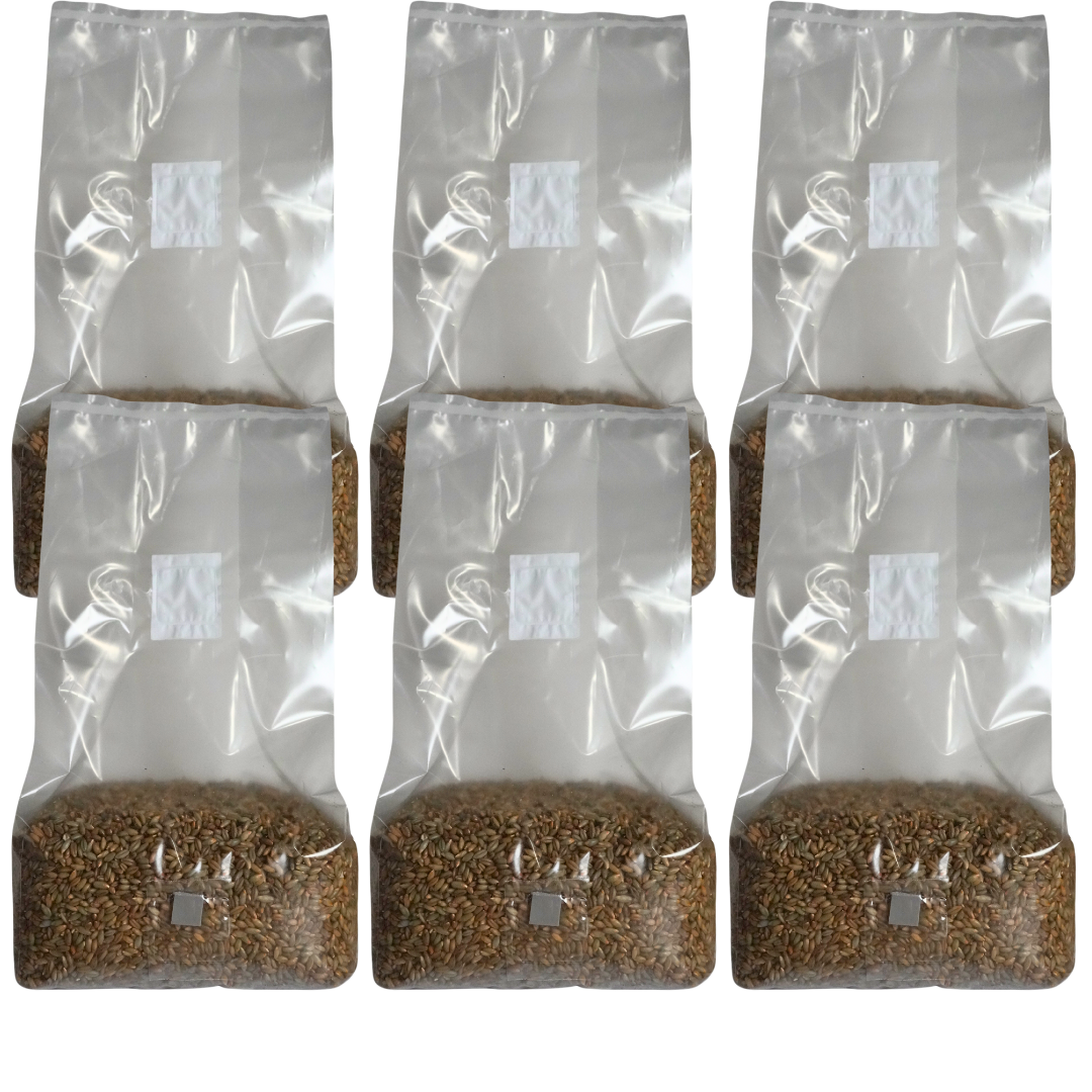 5 pound sterile mushroom grain spawn bag x6