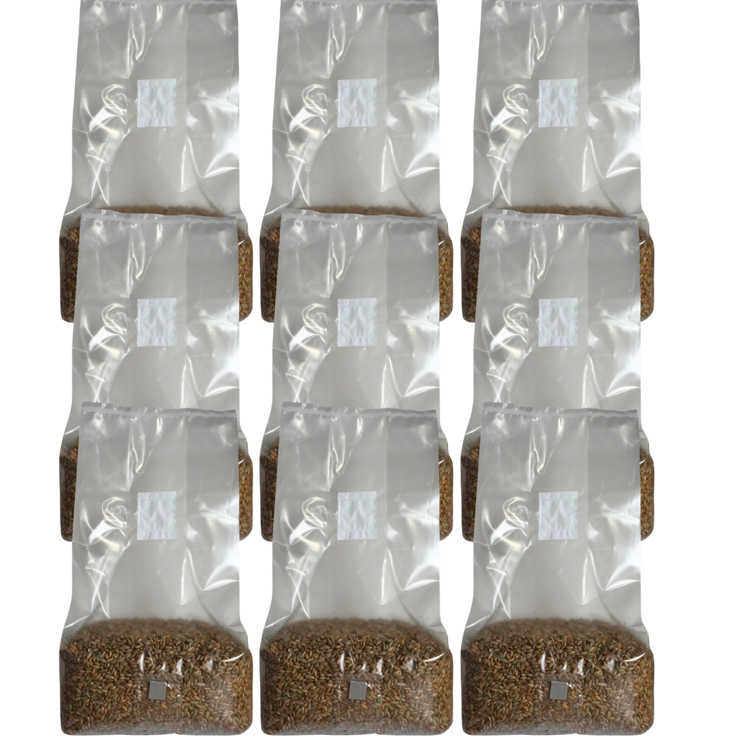 5 pound sterile mushroom grain spawn bag x9