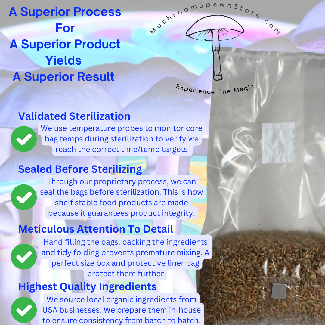 grain spawn bag