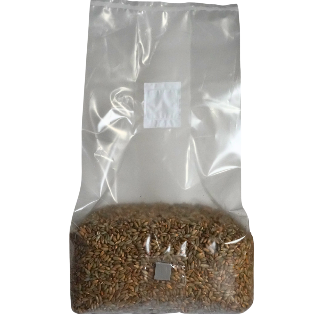 5 pound sterile mushroom grain spawn bag