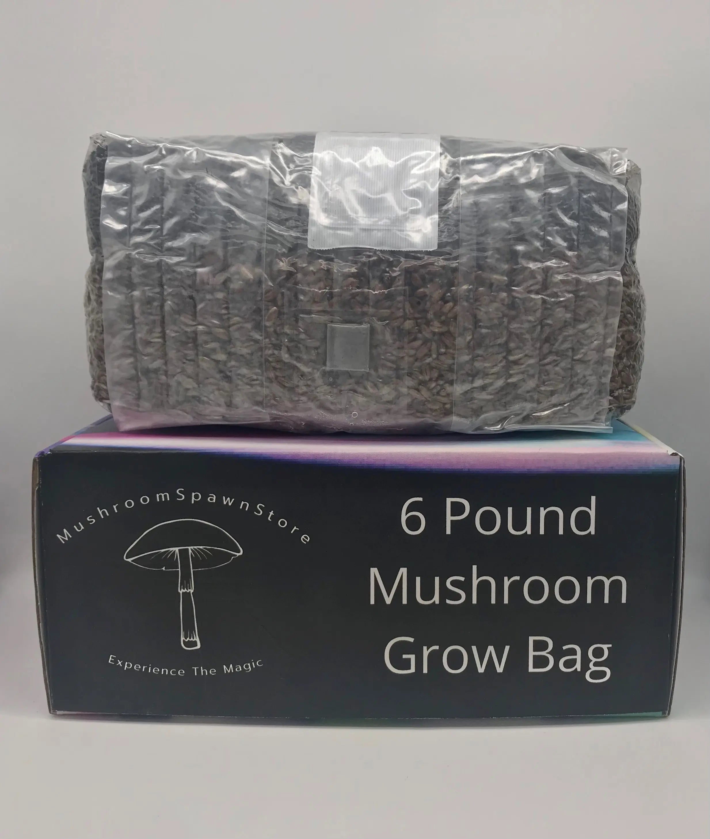 6 Pound All In One Mushroom Grow Bag Mushroom Spawn Store