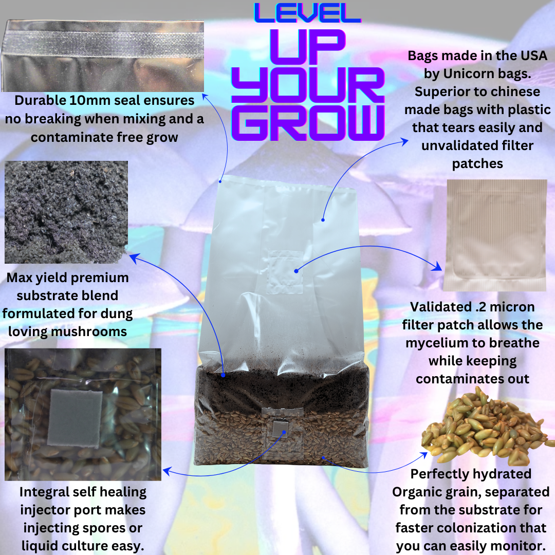 the best mushroom grow bag infographic