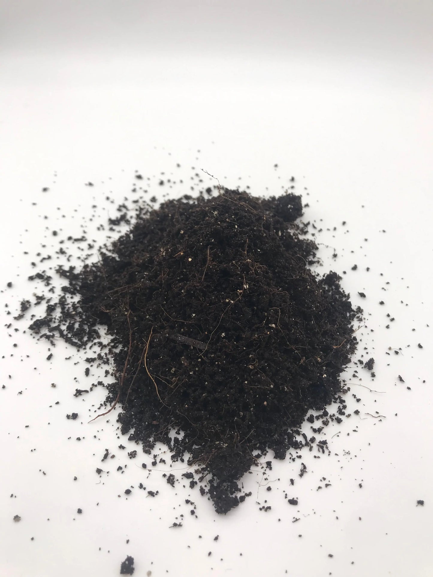 CVG Mushroom Substrate 5# Sterilized Mushroom Spawn Store