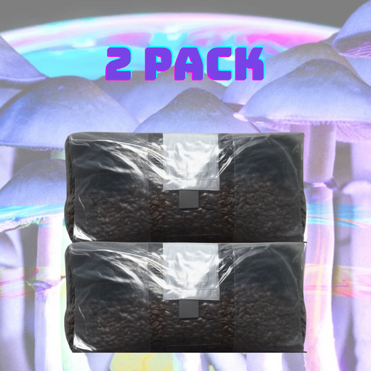 front view of two pack of mushroom grow bags