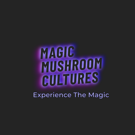 Buying Magic Mushroom Liquid Cultures Online