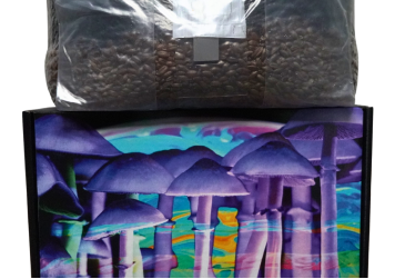 Private Label And Drop Ship Mushroom Grow Kits