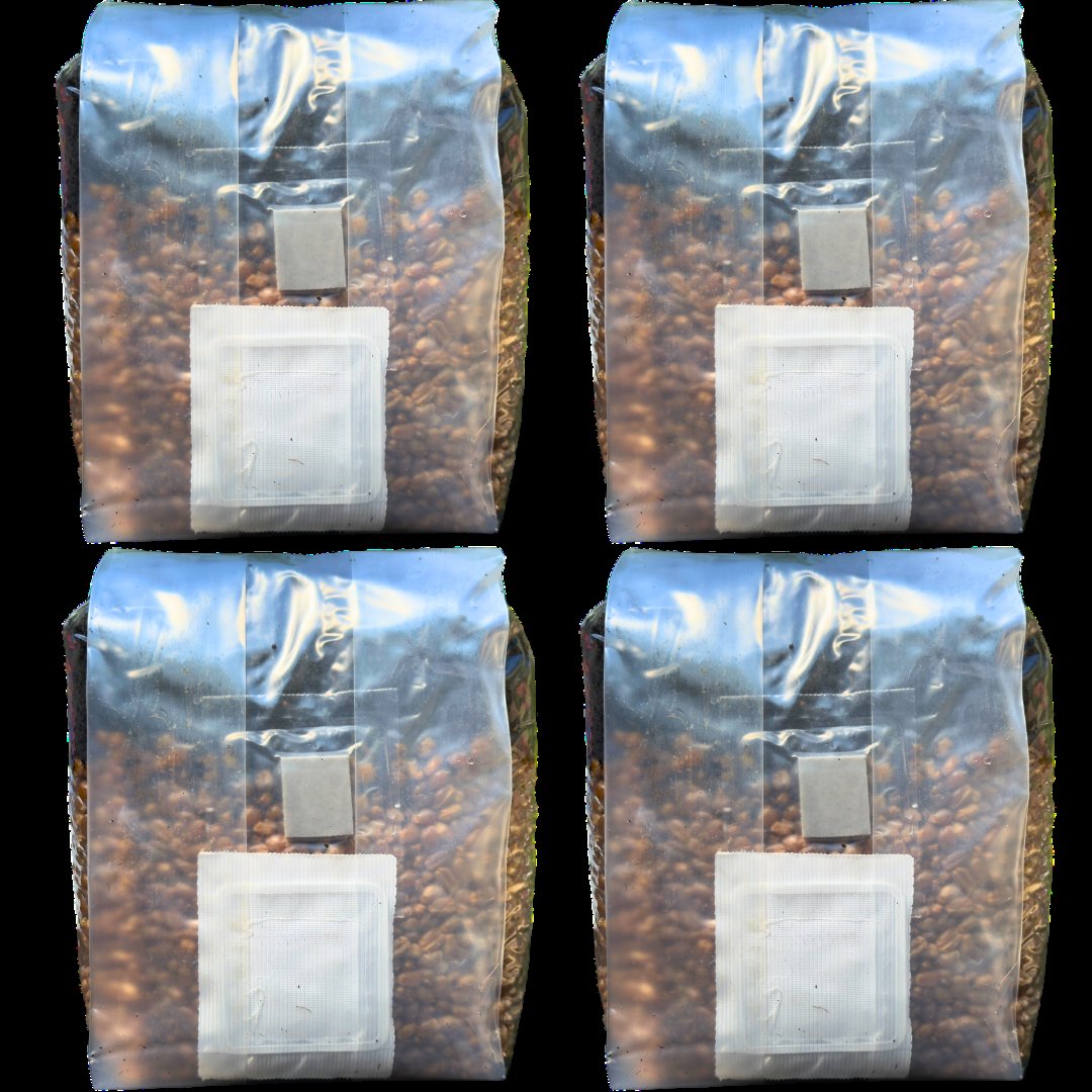 Mushroom Grow Bags