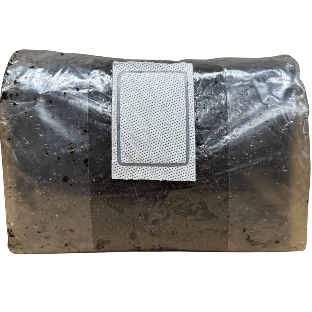 one ten pound bags of pasteurized CVG substrate on a white background