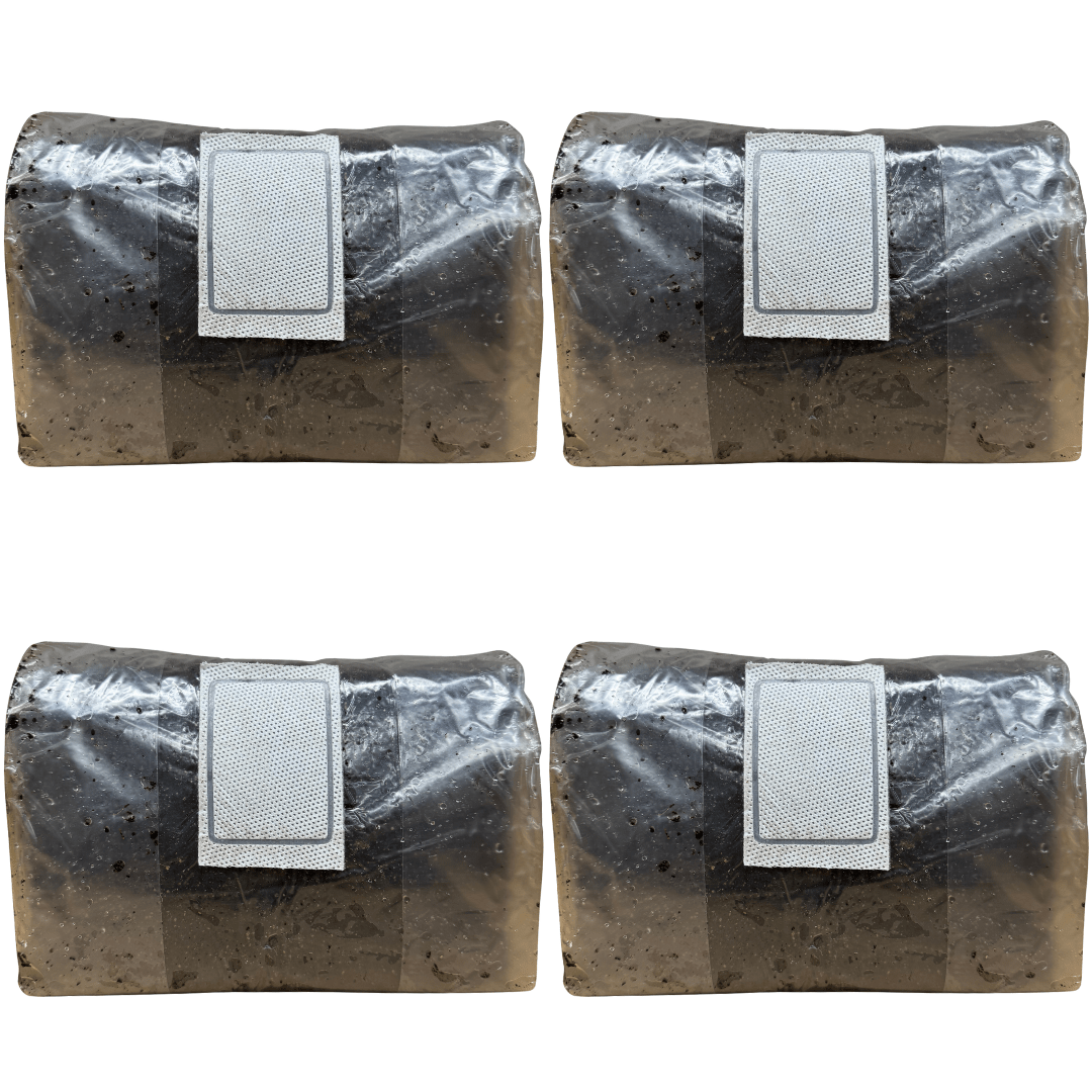 four-pack of ten pound bags of pasteurized CVG substrate on a white background