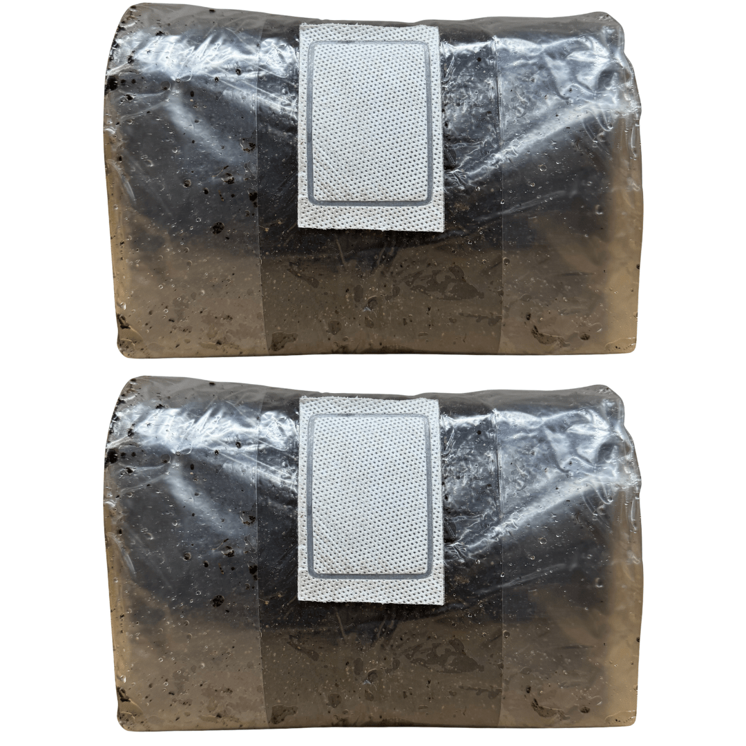 two-pack of ten pound bags of pasteurized CVG substrate on a white background