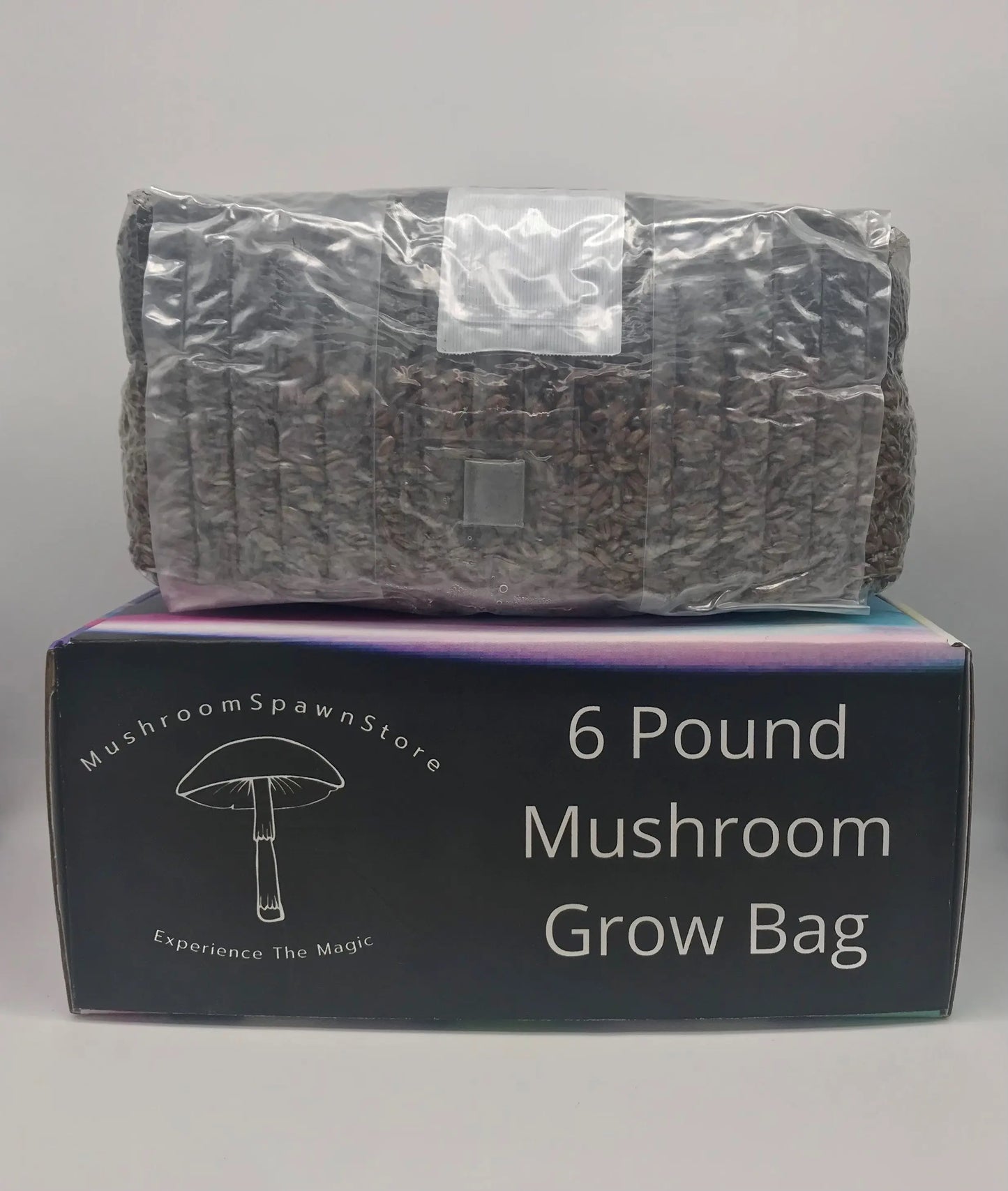 6 Pound All In One Magic Mushroom Grow Bag Mushroom Spawn Store