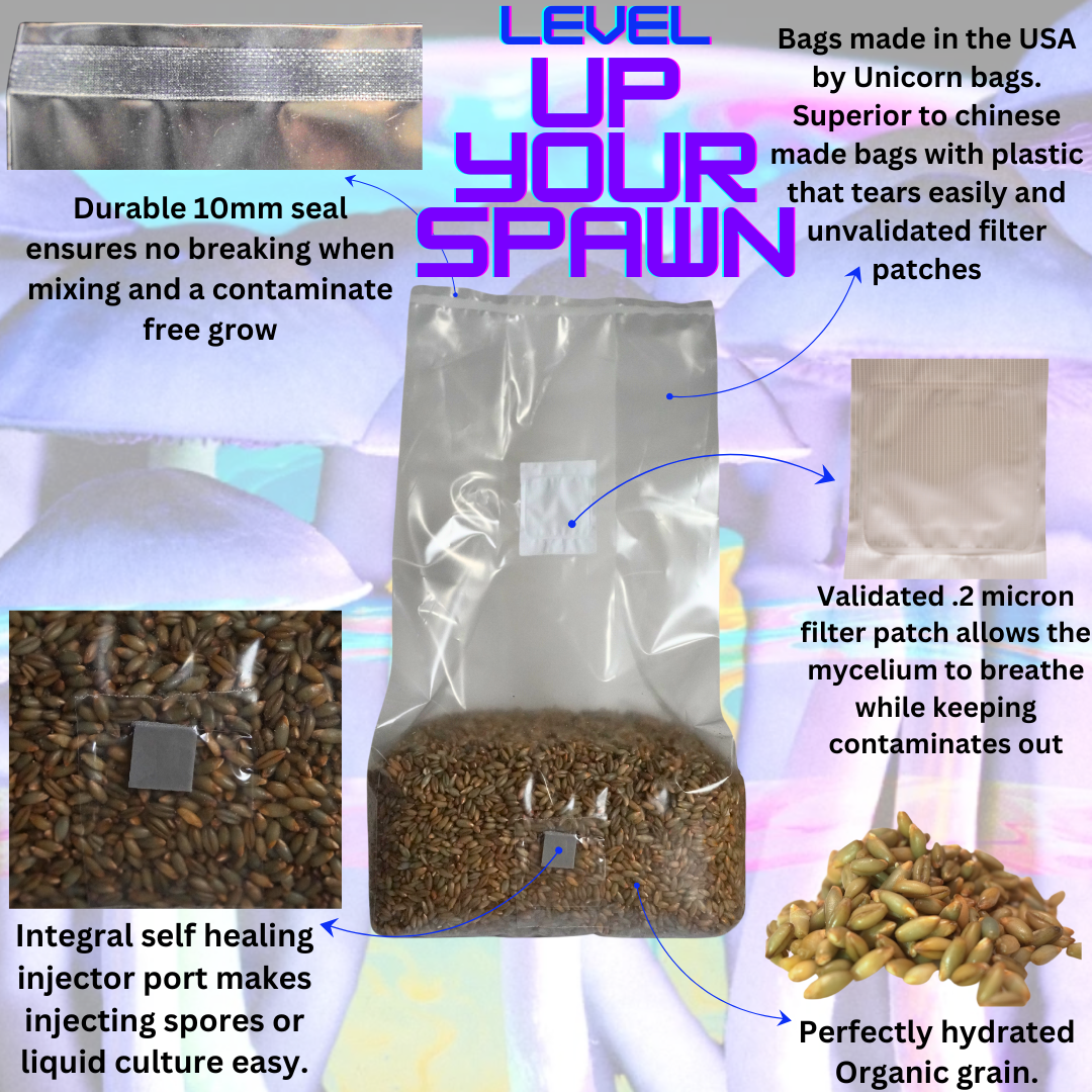 Organic Grain Spawn Bags for Mushrooms (5 Pounds) – Mushroom Spawn Store