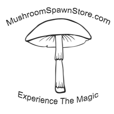 Sterilized Mushroom Grain Spawn Bags (Free USA Shipping) – Mushroom