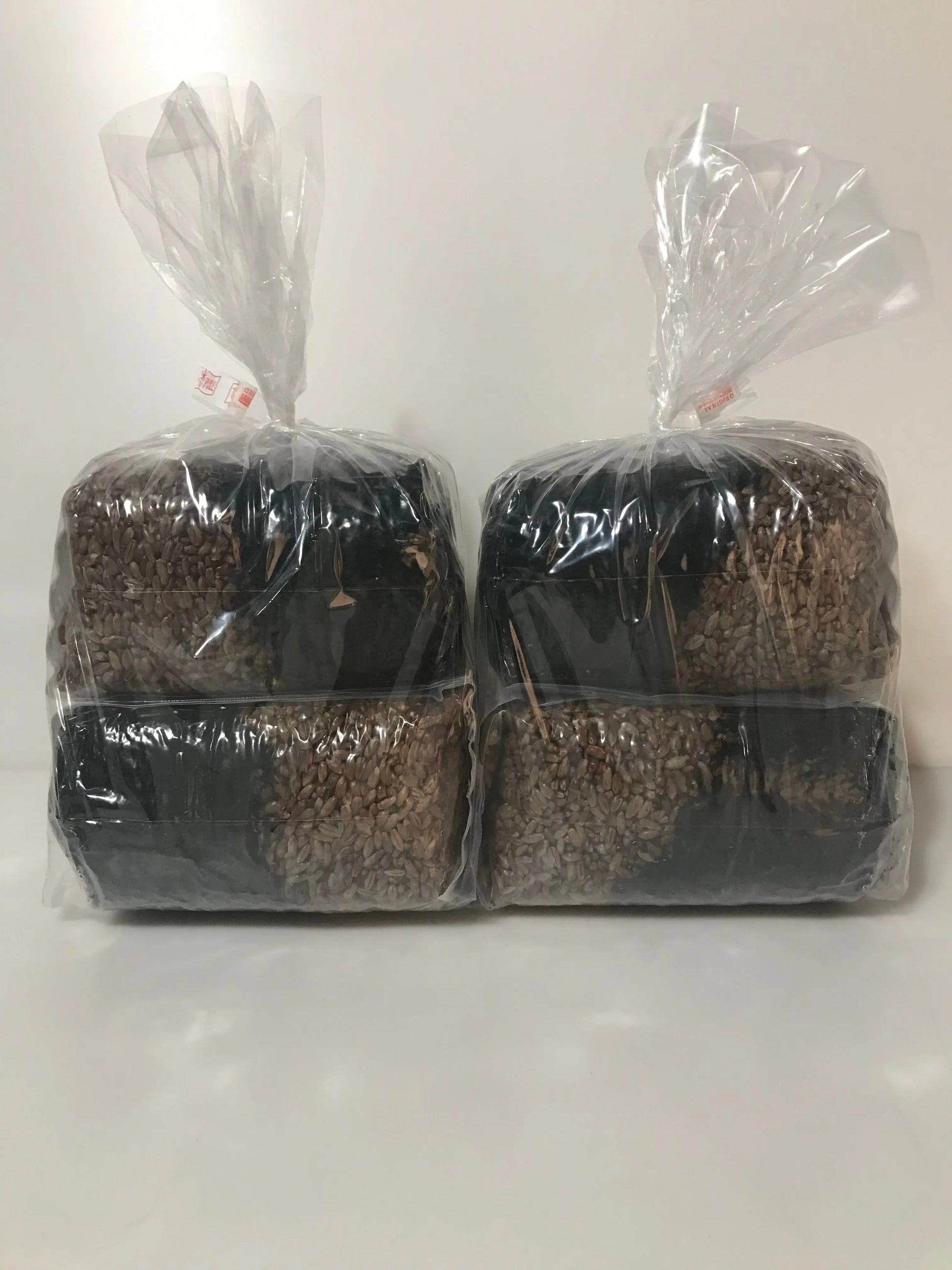 Mushroom Grow Kit - 4 Pack - All In One Grow Bags Mushroom Spawn Store