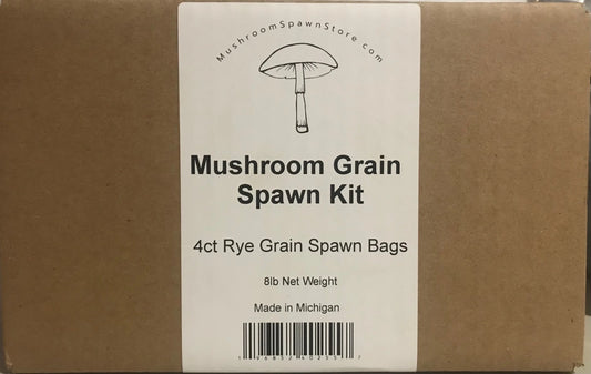 Sterile Grain Spawn 8 pounds Mushroom Spawn Store